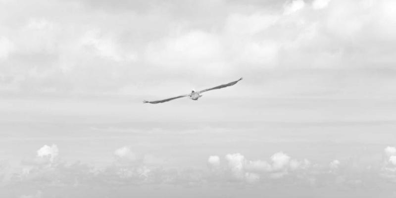 传统养生智慧：心血酒饮用时间全解析——晨起、餐前、睡前哪个时段效果更佳？