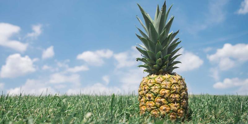 传统养生智慧：草本配方心血酒如何助力运动恢复，缓解肌肉酸痛与体力透支