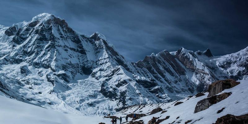 保健酒新解：科学剖析传统养生草本配方如何提升免疫力