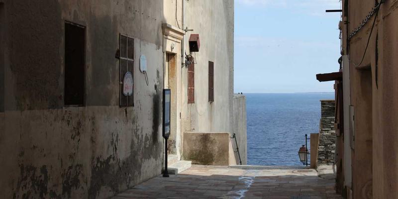 心血酒17：揭秘草本配方背后的千年养生智慧