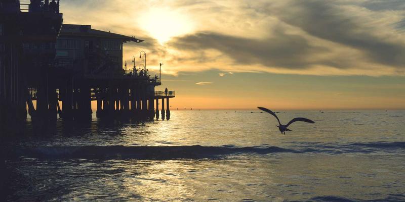 心血酒79：传承古法的健康饮品，开启现代养生酒新风尚