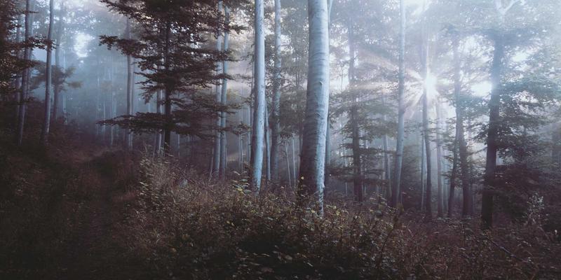 心血酒86：传承千年的健康饮品，如何融入现代健康生活？