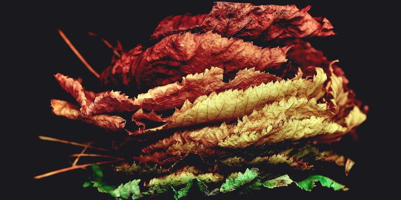 心血酒90：承古法之韵，酿现代健康生活