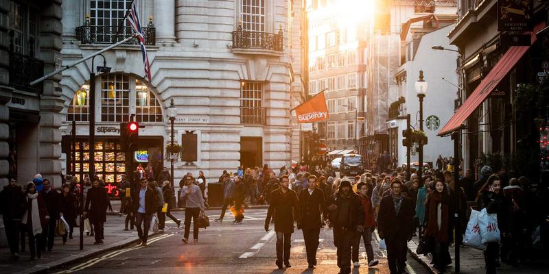 心血酒与同类养生药酒横向对比：功效差异与适用人群全解析