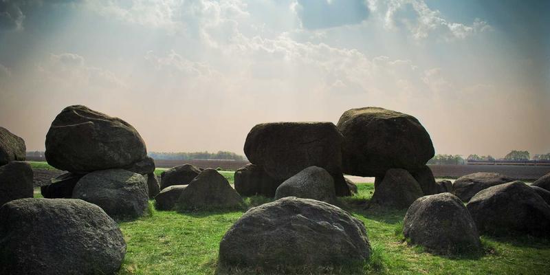 心血酒与四季养生：春夏秋冬的健康饮用指南与功效侧重