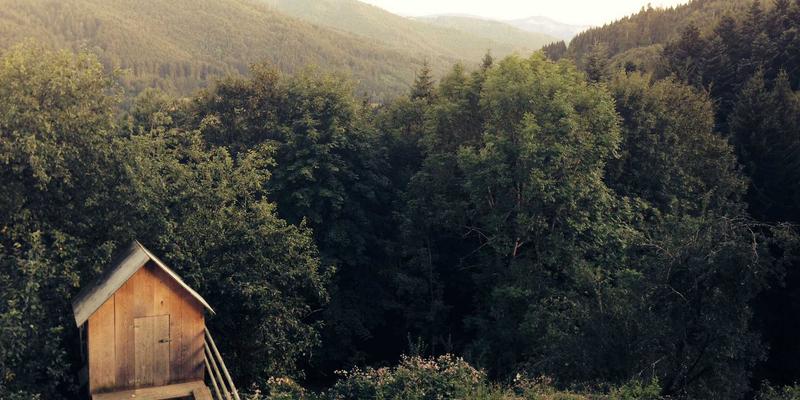 心血酒趋势：健康生活新风尚，养生酒如何成为现代人的健康饮品选择？