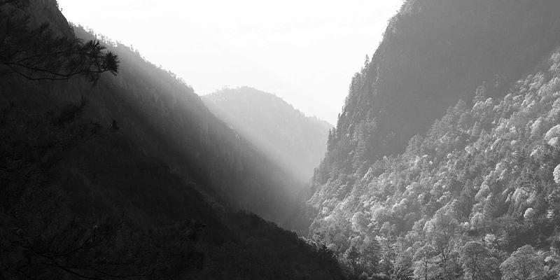 心血酒饮用误区全解析：避开这些雷区，让草本配方真正守护健康生活