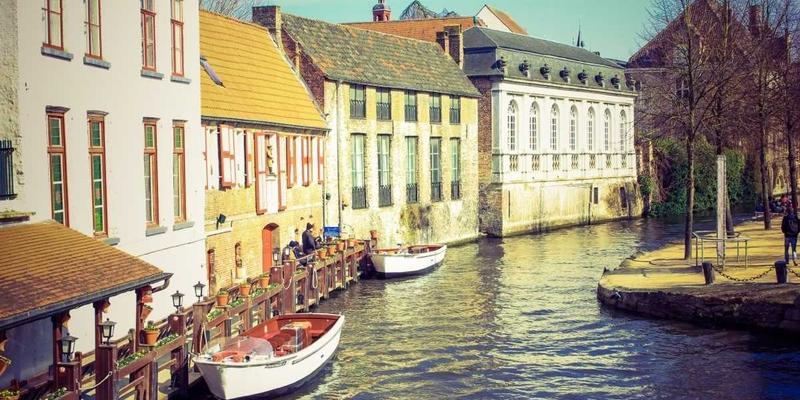 解析保健酒配方奥秘：从君、臣、佐、使看草本配方的健康智慧